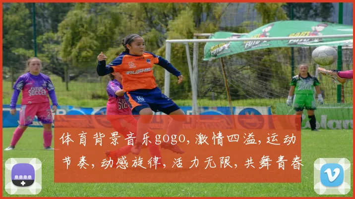 体育背景音乐gogo,激情四溢,运动节奏,动感旋律,活力无限,共舞青春。