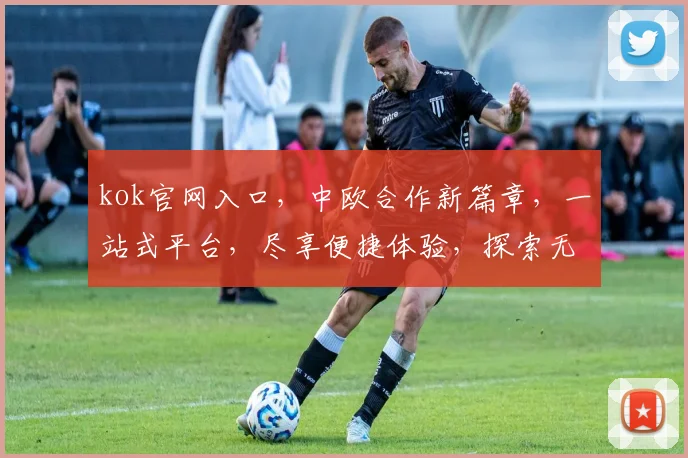 kok官网入口，中欧合作新篇章，一站式平台，尽享便捷体验，探索无限可能
