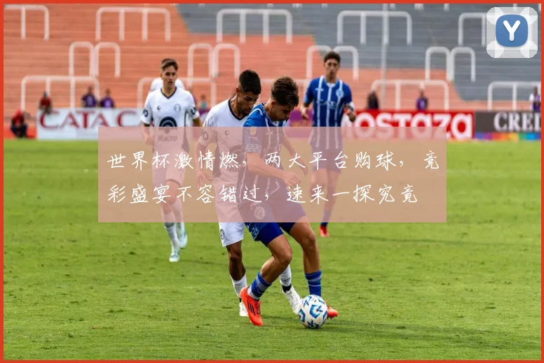 世界杯激情燃，两大平台购球，竞彩盛宴不容错过，速来一探究竟